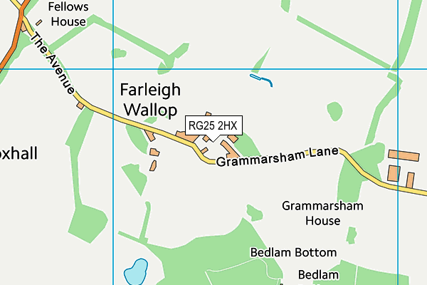 RG25 2HX map - OS VectorMap District (Ordnance Survey)