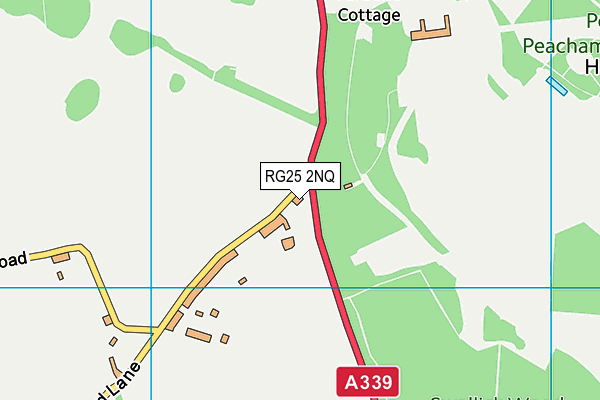 RG25 2NQ map - OS VectorMap District (Ordnance Survey) RG25 2NQ map - OS VectorMap District (Ordnance Survey)