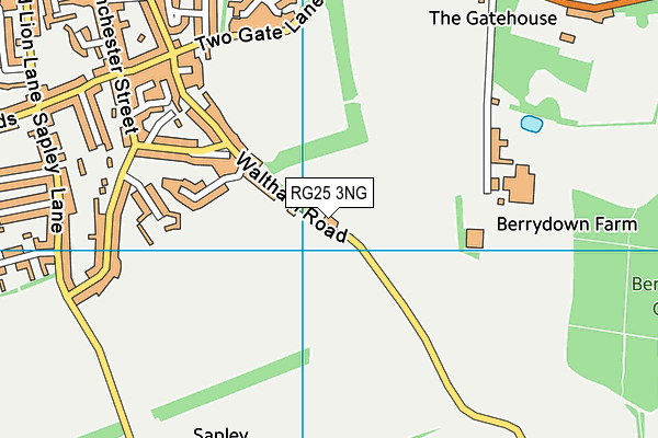 RG25 3NG map - OS VectorMap District (Ordnance Survey) RG25 3NG map - OS VectorMap District (Ordnance Survey)