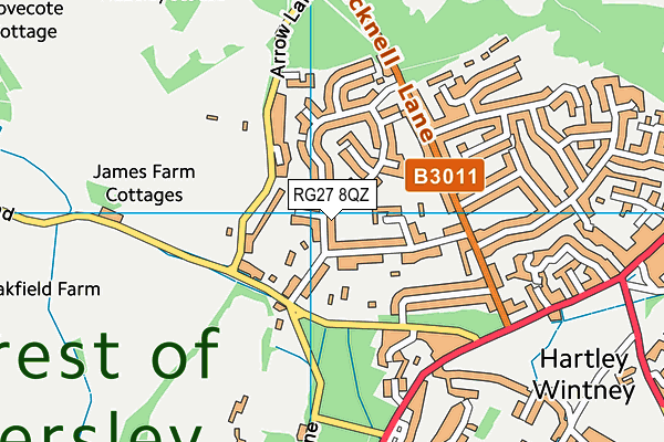 RG27 8QZ map - OS VectorMap District (Ordnance Survey) RG27 8QZ map - OS VectorMap District (Ordnance Survey)