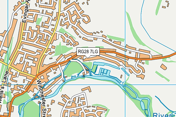 RG28 7LG map - OS VectorMap District (Ordnance Survey) RG28 7LG map - OS VectorMap District (Ordnance Survey)