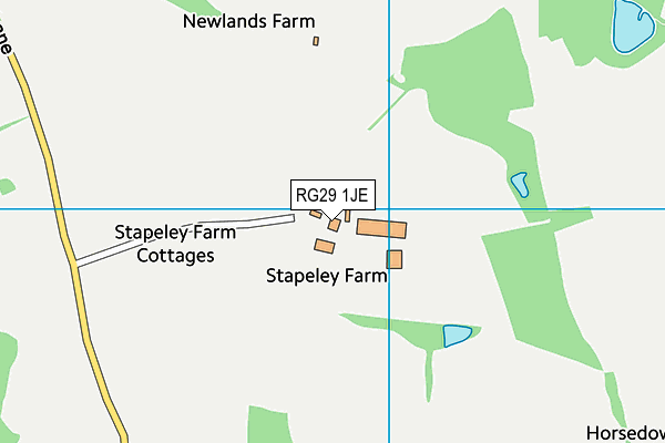 RG29 1JE map - OS VectorMap District (Ordnance Survey) RG29 1JE map - OS VectorMap District (Ordnance Survey)