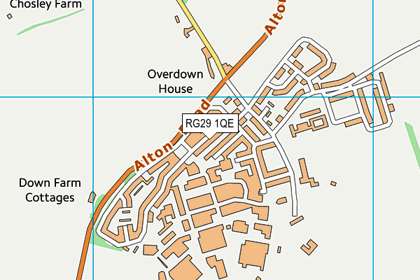 RG29 1QE map - OS VectorMap District (Ordnance Survey)