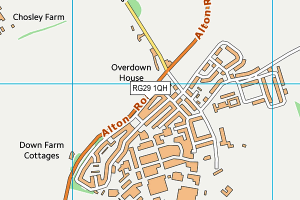RG29 1QH map - OS VectorMap District (Ordnance Survey) RG29 1QH map - OS VectorMap District (Ordnance Survey)