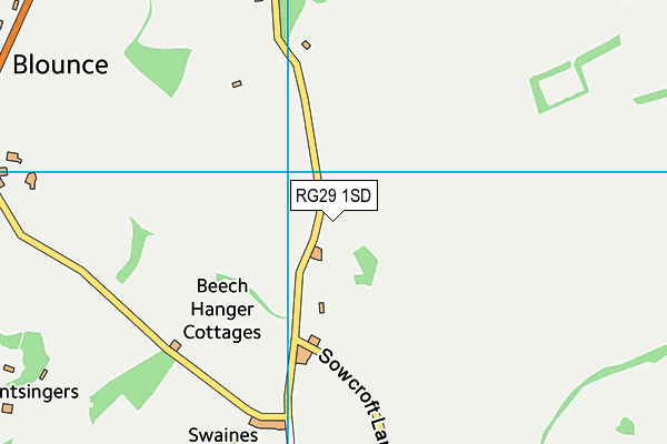 RG29 1SD map - OS VectorMap District (Ordnance Survey) RG29 1SD map - OS VectorMap District (Ordnance Survey)