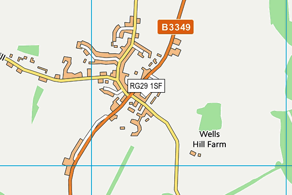 RG29 1SF map - OS VectorMap District (Ordnance Survey) RG29 1SF map - OS VectorMap District (Ordnance Survey)