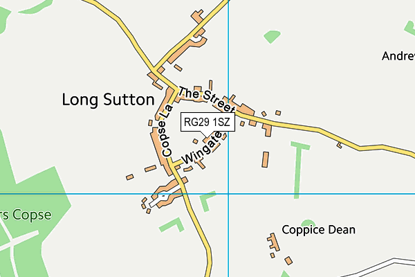 RG29 1SZ map - OS VectorMap District (Ordnance Survey) RG29 1SZ map - OS VectorMap District (Ordnance Survey)