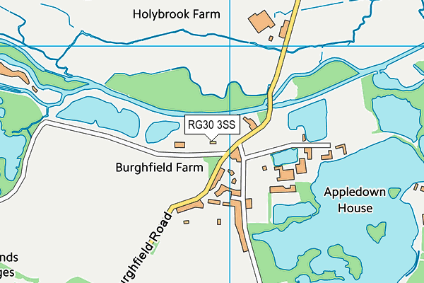 RG30 3SS map - OS VectorMap District (Ordnance Survey)