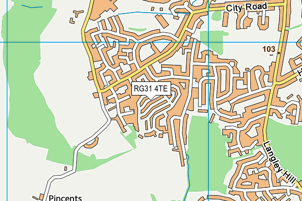 RG31 4TE map - OS VectorMap District (Ordnance Survey) RG31 4TE map - OS VectorMap District (Ordnance Survey)