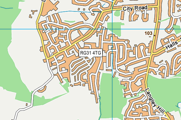 RG31 4TG map - OS VectorMap District (Ordnance Survey) RG31 4TG map - OS VectorMap District (Ordnance Survey)