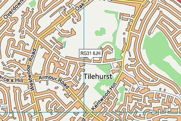 RG31 6JH map - OS VectorMap District (Ordnance Survey) RG31 6JH map - OS VectorMap District (Ordnance Survey)