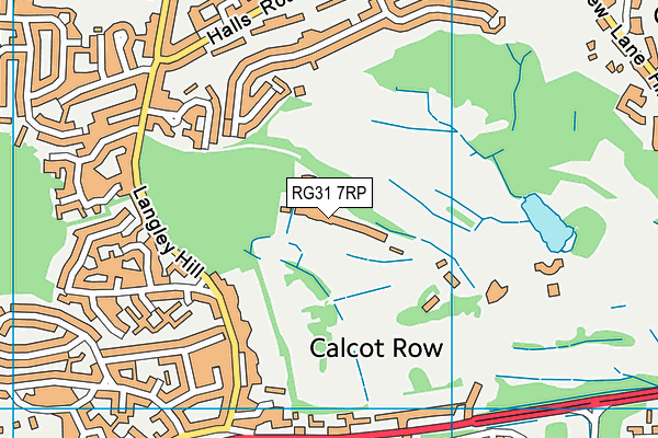 RG31 7RP map - OS VectorMap District (Ordnance Survey) RG31 7RP map - OS VectorMap District (Ordnance Survey)