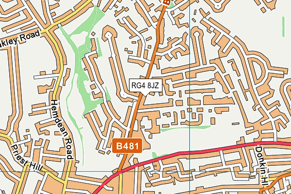 RG4 8JZ map - OS VectorMap District (Ordnance Survey) RG4 8JZ map - OS VectorMap District (Ordnance Survey)