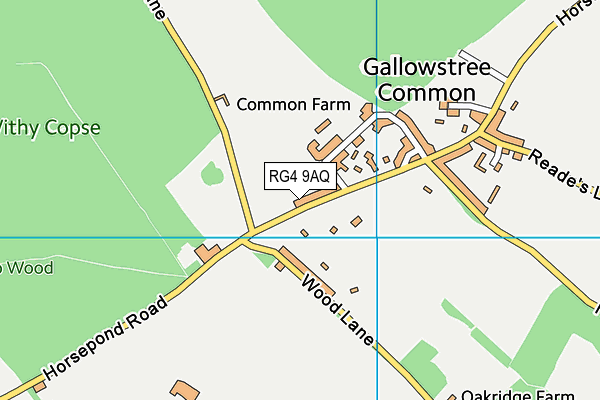 RG4 9AQ map - OS VectorMap District (Ordnance Survey) RG4 9AQ map - OS VectorMap District (Ordnance Survey)