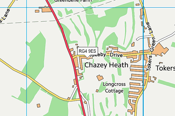 RG4 9ES map - OS VectorMap District (Ordnance Survey)