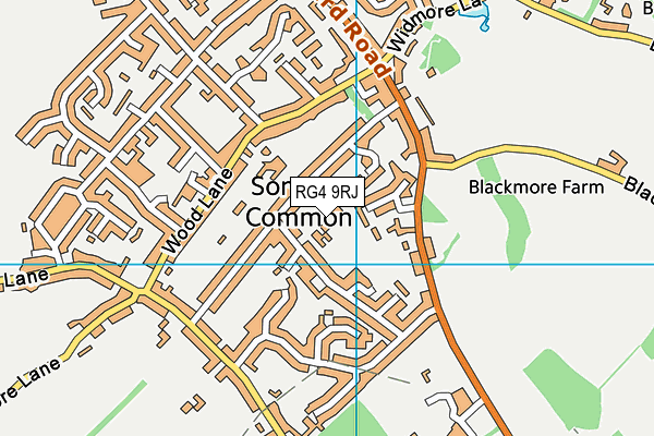 RG4 9RJ map - OS VectorMap District (Ordnance Survey) RG4 9RJ map - OS VectorMap District (Ordnance Survey)