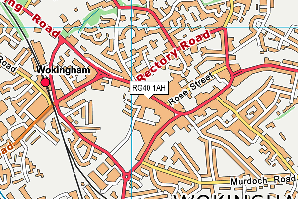 RG40 1AH map - OS VectorMap District (Ordnance Survey) RG40 1AH map - OS VectorMap District (Ordnance Survey)