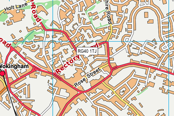 RG40 1TJ map - OS VectorMap District (Ordnance Survey) RG40 1TJ map - OS VectorMap District (Ordnance Survey)