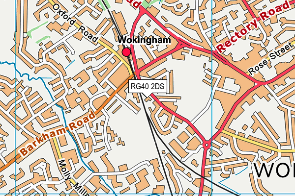 RG40 2DS map - OS VectorMap District (Ordnance Survey) RG40 2DS map - OS VectorMap District (Ordnance Survey)