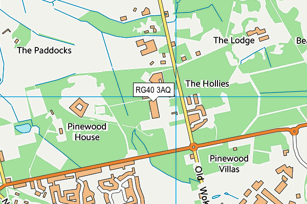RG40 3AQ map - OS VectorMap District (Ordnance Survey) RG40 3AQ map - OS VectorMap District (Ordnance Survey)