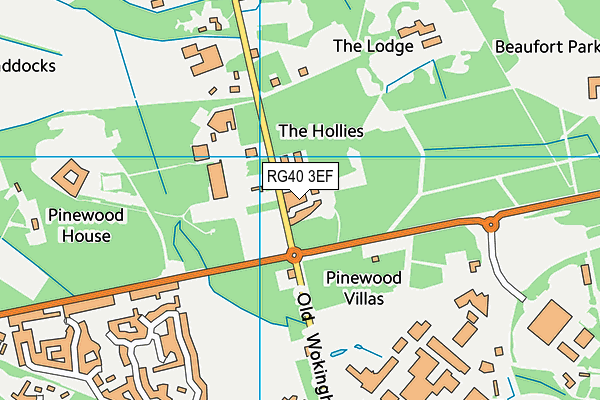 RG40 3EF map - OS VectorMap District (Ordnance Survey) RG40 3EF map - OS VectorMap District (Ordnance Survey)