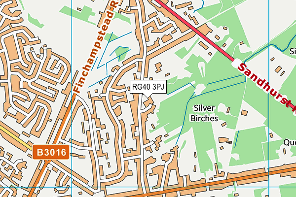 RG40 3PJ map - OS VectorMap District (Ordnance Survey) RG40 3PJ map - OS VectorMap District (Ordnance Survey)