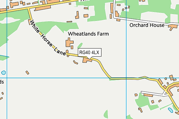 RG40 4LX map - OS VectorMap District (Ordnance Survey) RG40 4LX map - OS VectorMap District (Ordnance Survey)