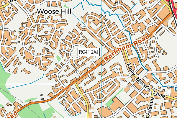 RG41 2AJ map - OS VectorMap District (Ordnance Survey) RG41 2AJ map - OS VectorMap District (Ordnance Survey)