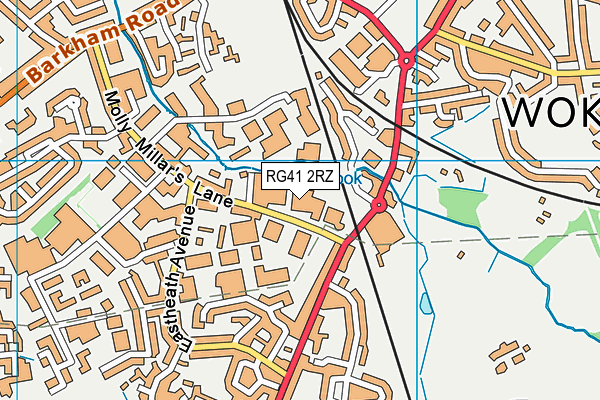 RG41 2RZ map - OS VectorMap District (Ordnance Survey) RG41 2RZ map - OS VectorMap District (Ordnance Survey)