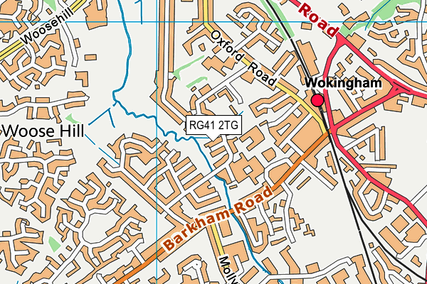RG41 2TG map - OS VectorMap District (Ordnance Survey) RG41 2TG map - OS VectorMap District (Ordnance Survey)