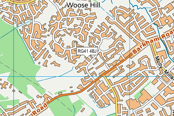 RG41 4BJ map - OS VectorMap District (Ordnance Survey) RG41 4BJ map - OS VectorMap District (Ordnance Survey)