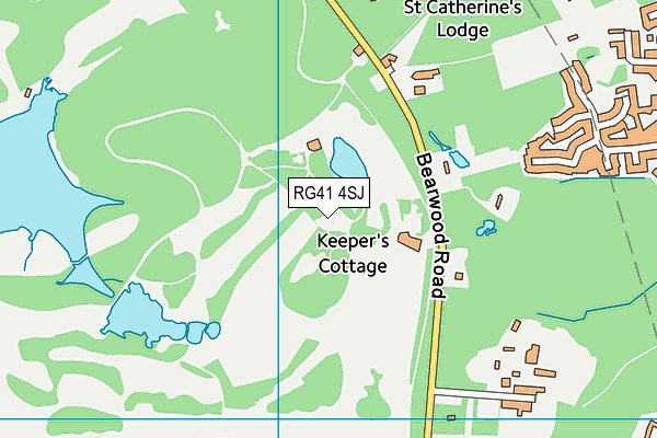 RG41 4SJ map - OS VectorMap District (Ordnance Survey) RG41 4SJ map - OS VectorMap District (Ordnance Survey)