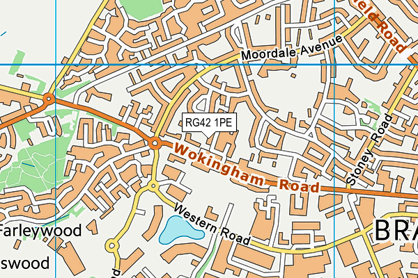RG42 1PE map - OS VectorMap District (Ordnance Survey) RG42 1PE map - OS VectorMap District (Ordnance Survey)
