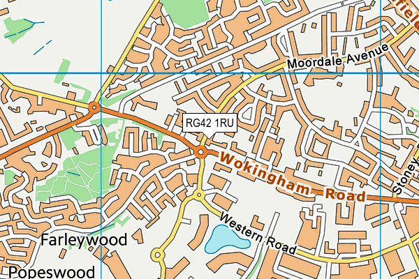 RG42 1RU map - OS VectorMap District (Ordnance Survey) RG42 1RU map - OS VectorMap District (Ordnance Survey)