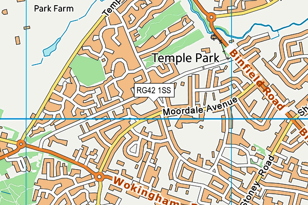 RG42 1SS map - OS VectorMap District (Ordnance Survey) RG42 1SS map - OS VectorMap District (Ordnance Survey)