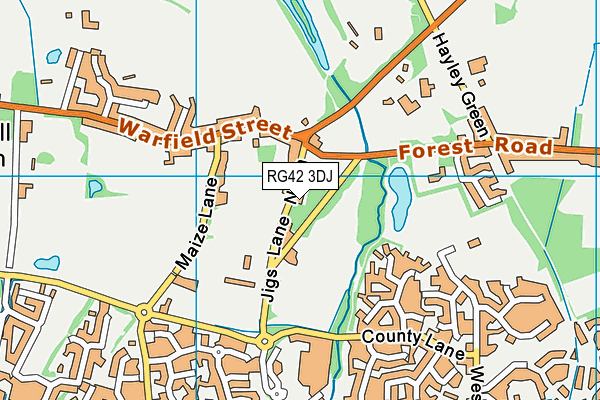 RG42 3DJ map - OS VectorMap District (Ordnance Survey)