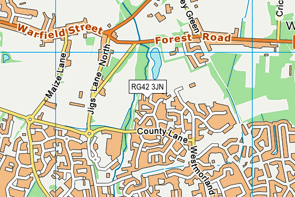 RG42 3JN map - OS VectorMap District (Ordnance Survey) RG42 3JN map - OS VectorMap District (Ordnance Survey)