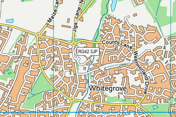 RG42 3JP map - OS VectorMap District (Ordnance Survey) RG42 3JP map - OS VectorMap District (Ordnance Survey)
