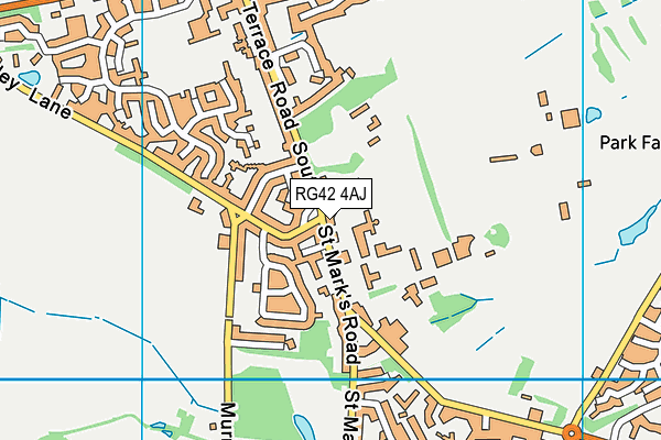 RG42 4AJ map - OS VectorMap District (Ordnance Survey) RG42 4AJ map - OS VectorMap District (Ordnance Survey)