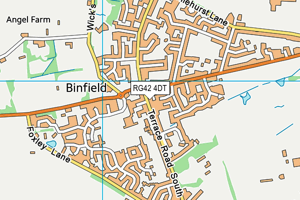 RG42 4DT map - OS VectorMap District (Ordnance Survey) RG42 4DT map - OS VectorMap District (Ordnance Survey)