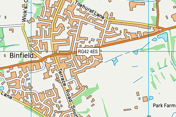 RG42 4ES map - OS VectorMap District (Ordnance Survey) RG42 4ES map - OS VectorMap District (Ordnance Survey)