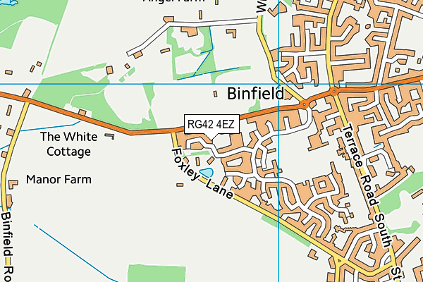 RG42 4EZ map - OS VectorMap District (Ordnance Survey) RG42 4EZ map - OS VectorMap District (Ordnance Survey)