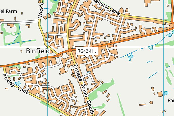 RG42 4HJ map - OS VectorMap District (Ordnance Survey) RG42 4HJ map - OS VectorMap District (Ordnance Survey)