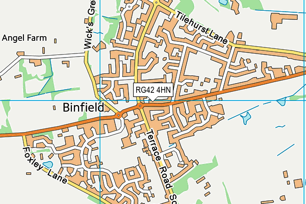 RG42 4HN map - OS VectorMap District (Ordnance Survey) RG42 4HN map - OS VectorMap District (Ordnance Survey)
