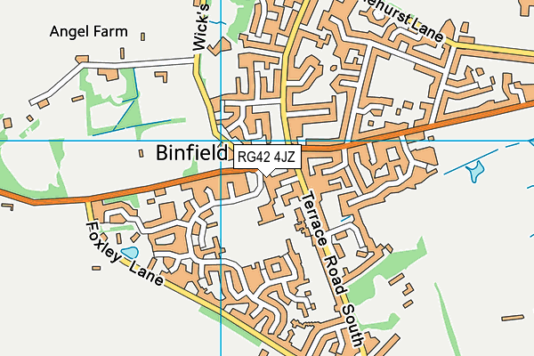 RG42 4JZ map - OS VectorMap District (Ordnance Survey) RG42 4JZ map - OS VectorMap District (Ordnance Survey)