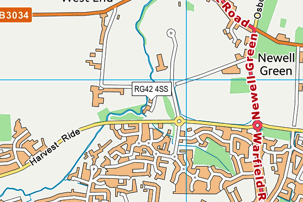 RG42 4SS map - OS VectorMap District (Ordnance Survey) RG42 4SS map - OS VectorMap District (Ordnance Survey)