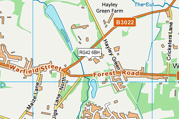 RG42 6BH map - OS VectorMap District (Ordnance Survey)