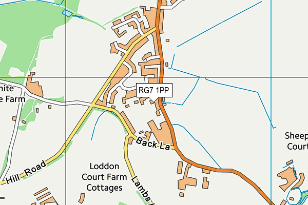 RG7 1PP map - OS VectorMap District (Ordnance Survey) RG7 1PP map - OS VectorMap District (Ordnance Survey)