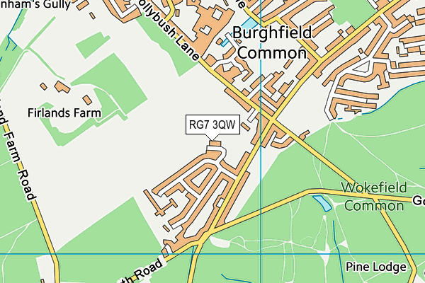 RG7 3QW map - OS VectorMap District (Ordnance Survey) RG7 3QW map - OS VectorMap District (Ordnance Survey)