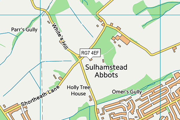 RG7 4EF map - OS VectorMap District (Ordnance Survey) RG7 4EF map - OS VectorMap District (Ordnance Survey)